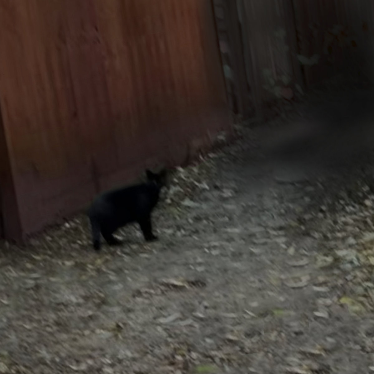 a path that leads to nowhere album cover.