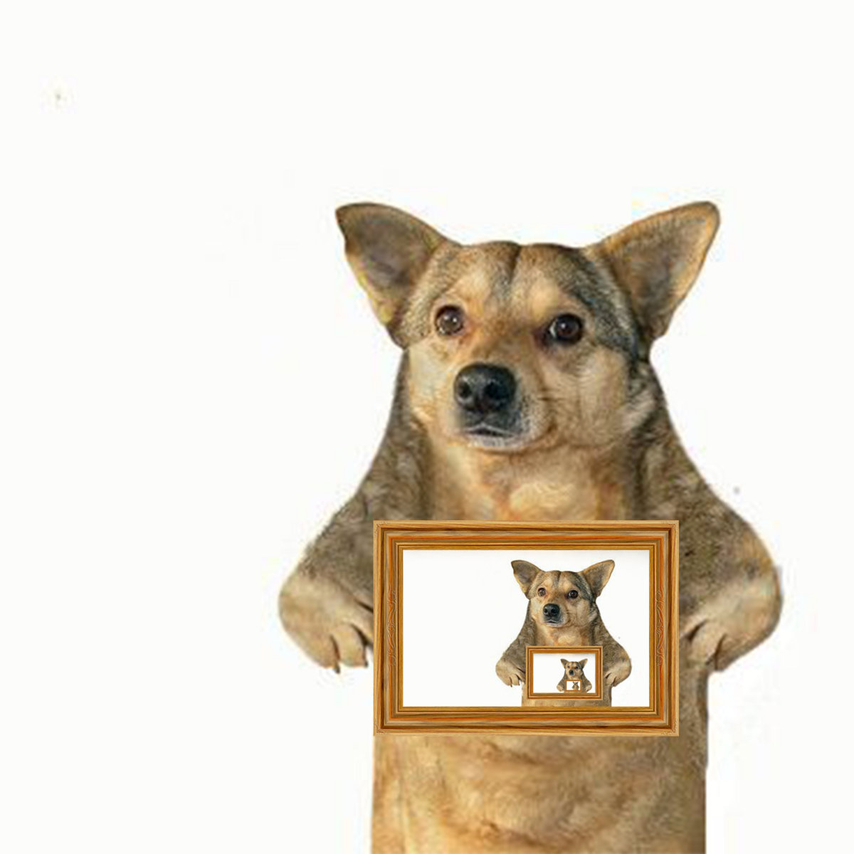 Codiwodis Worsest Hits (Vol 1) album cover.