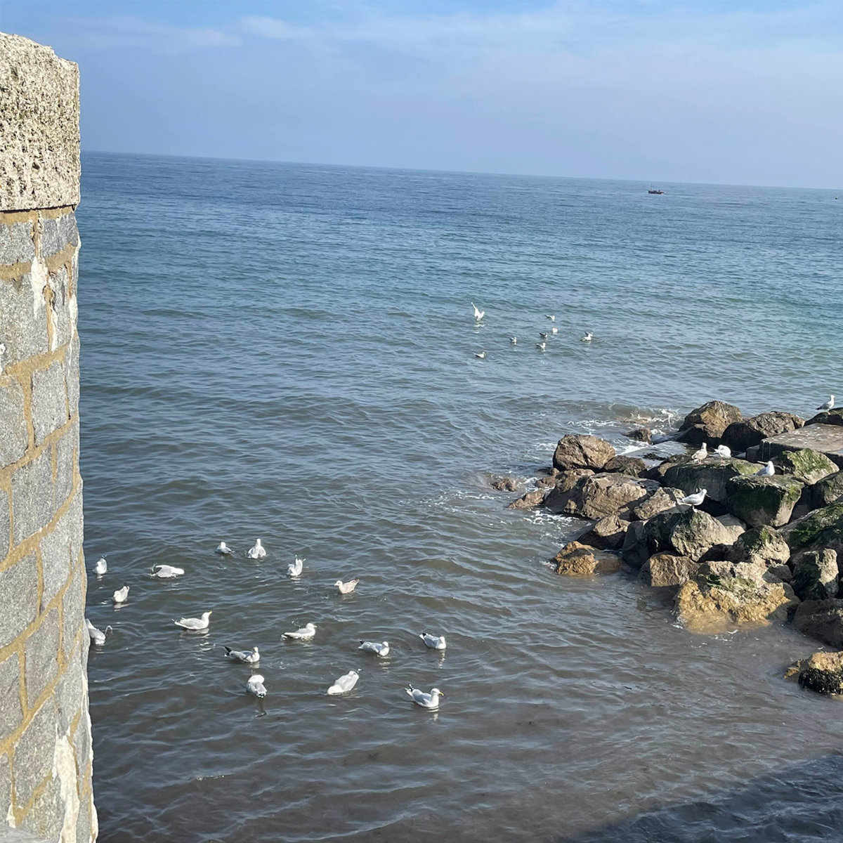 out there somewhere album cover.